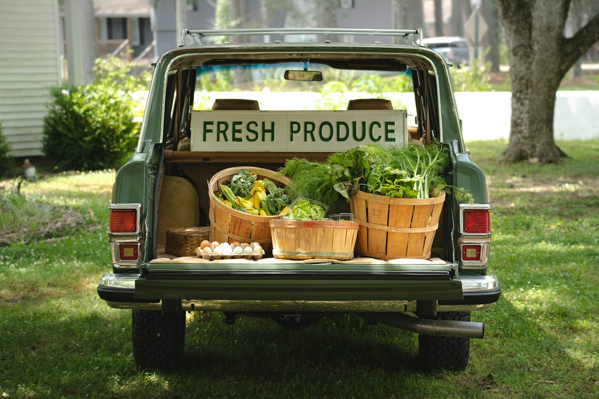 Lechuga orgánica fresca